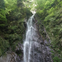 畦ヶ丸への登山道、西沢の魅力